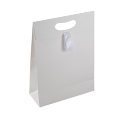 Medium White Paper Gift Bag